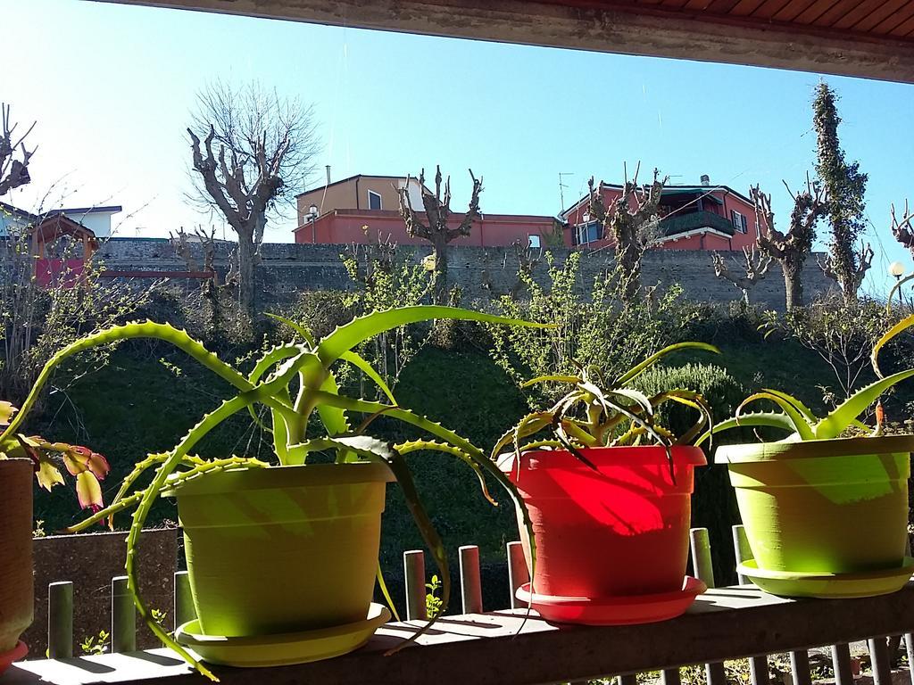 טבוליה Tarcisio B&B מראה חיצוני תמונה